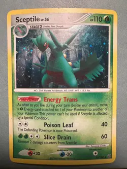 Sceptile 10/100 Stormfront Holo Pokemon Card MP - Image 1