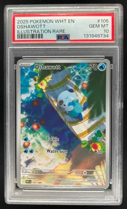 2025 Pokemon SV White Flare Oshawott Illustration Rare #105/086 PSA 10 - Image 1
