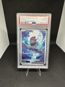 Pokemon 2025 - Zorua 142/086 - White Flare Illustration Rare - PSA 8 - Image 1
