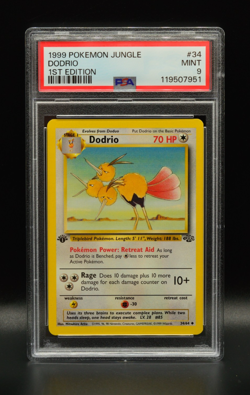 Dodrio 1st Edition 1999 Pokemon Jungle #34 WOTC PSA 9 Newly Graded - Image 1