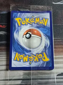 Sealed Mega Charizard X EX 023 + Oricorio 024 Pokemon Card TCG - Image 3