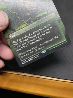 Verdant Catacombs (Borderless) Special Guests Regular MTG 0113 - Image 5