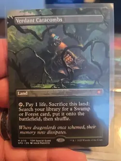 Verdant Catacombs (Borderless) MTG Special Guests Mythic 113 - Image 1