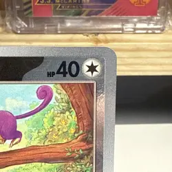 Pokemon TCG Korean 151 SV2a Rattata Master Ball Reverse Holo 019/165 US Seller - Image 4