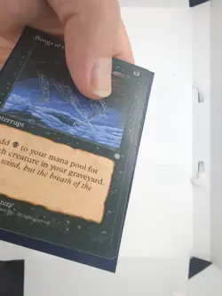 2x Songs of the Damned Ice Age LP Small Seller 💌 Fast Free Shipping! - Image 3