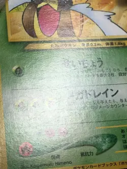Sunkern Pokemon Natta Wake Vol.4 Promo Japanese 191 EX - Image 4