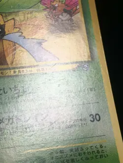 Sunkern Pokemon Natta Wake Vol.4 Promo Japanese 191 EX - Image 5