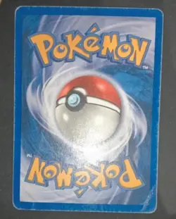 Pokemon Card- Houndoom-Skyridge-Holo-H11/H32-Rare-NoCrystal-ENG-Poor - Image 3