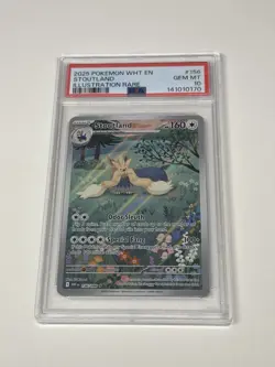 Stoutland 156/086 Full Art Sv: White Flare Holo Pokemon Card TCG PSA 10 GEM MINT - Image 1