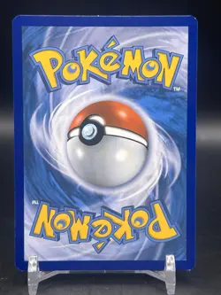 Pikachu XY95 Black Star Promo Holo Let’s Eat Together Pokemon English NM- - Image 2