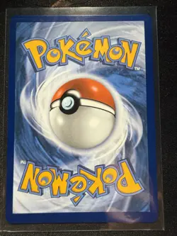 Mega Sharpedo EX 127/094 Me02: Phantasmal Flames Holo Near Mint Pokemon Card - Image 4