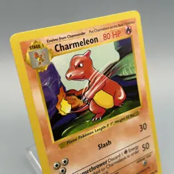 Charmeleon 24/102 - Base Set (Shadowless) - Uncommon - Pokemon TCG - Image 1