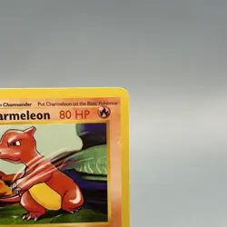 Charmeleon 24/102 - Base Set (Shadowless) - Uncommon - Pokemon TCG - Image 4