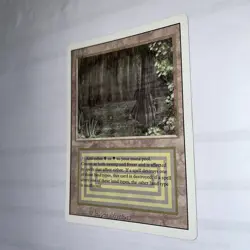 Magic: The Gathering Bayou Card RE MTG Revised Edition. Rare. - Image 3