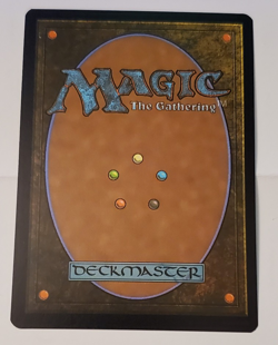 Forest Rainbow Foil 0892 SLD NM/MT [Secret Lair:MTG] - Image 2