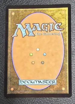 Meticulous Archive (Borderless) Murders at Karlov Manor Foil MTG Magic Land Card - Image 2