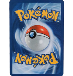 Pokemon TCG Grotle 164/162 Illustration Rare Near Mint English - Image 2