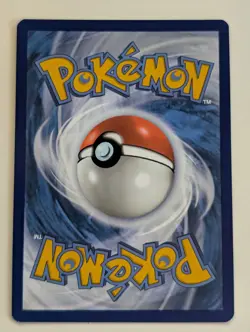 Bloodmoon Ursaluna ex 216/167 Sv06: Twilight Masquerade SIR Pokemon NM - Image 2