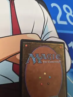 Diamond Valley Arabian Nights Regular - Image 5