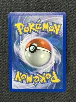 NM Terrakion 99/101 Noble Victories Full Art Holo Pokemon Card - Image 2