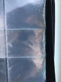 Trading Card Binder for Cards 440 Pockets with 55 Removable Sleeves TCG MTG - Image 5