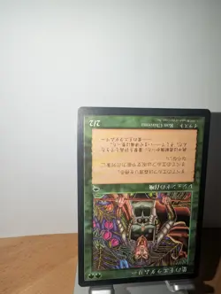 Eladamri, Lord of Leaves Tempest MTG Japanese LP - Image 4