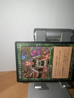 Eladamri, Lord of Leaves Tempest MTG Japanese LP - Image 5