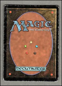 Diamond Valley Magic mtg Heavy Play, English Arabian Nights x1 - Image 2