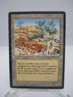 Diamond Valley Magic mtg Heavy Play, English Arabian Nights x1 - Image 3