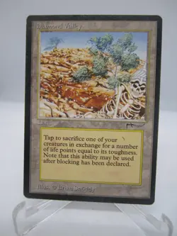 Diamond Valley Magic mtg Heavy Play, English Arabian Nights x1 - Image 1