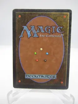 Diamond Valley Magic mtg Heavy Play, English Arabian Nights x1 - Image 2