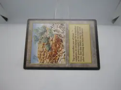 Diamond Valley Magic mtg Heavy Play, English Arabian Nights x1 - Image 3