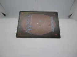 Diamond Valley Magic mtg Heavy Play, English Arabian Nights x1 - Image 4