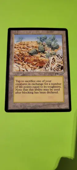 Diamond Valley Magic mtg Heavy Play, English Arabian Nights x1 - Image 1