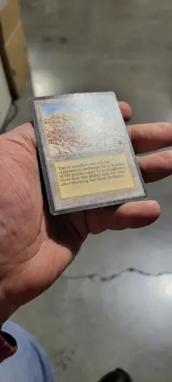 Diamond Valley Magic mtg Heavy Play, English Arabian Nights x1 - Image 3