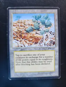 Diamond Valley Magic: The Gathering MTG x1 Arabian Nights Moderately Played - Image 1