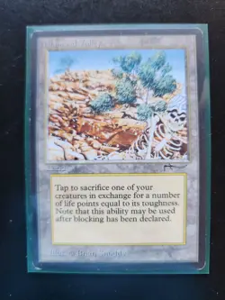 Diamond Valley Magic: The Gathering MTG x1 Arabian Nights Moderately Played - Image 4