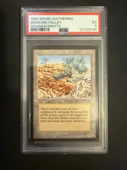 Diamond Valley Arabian Nights Regular - Image 1