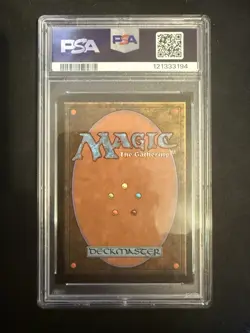 Diamond Valley Arabian Nights Regular - Image 2