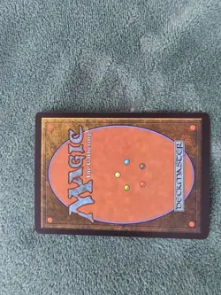 MTG,Carrion Feeder Scourge, NM, Multiple Copies Never Played Magic The Gathering - Image 2