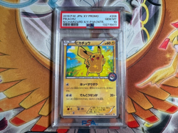 Pokemon 2016 Japanese M Charizard X/Y Center Promo Pikachu Holo 206/XY-P PSA 10 - Image 1