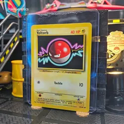 Voltorb Base Set Pokemon TCG 67/102 Unlimited Common - Image 2