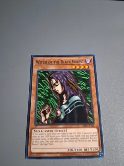 Witch Of The Black Forest *Rare* MRD-EN116 NM - Image 1