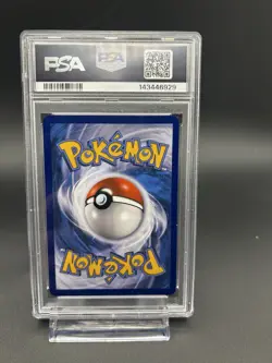 2016 POKEMON XY BLACK STAR PROMO SHINY MEGA GYARADOS #XY143 MAGIKARP-HOLO PSA 8 - Image 2