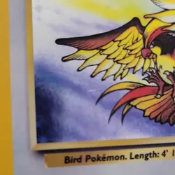 Pokemon Pidgeot 08/64 Jungle Holo Rare Unlimited 80 HP English 1999 TCG - Image 3