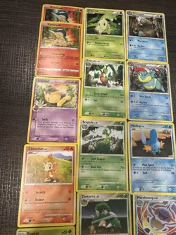 15 Card Pokemon Lot Starters Holo Reverse Holo - Image 4