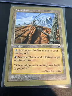 Wasteland - Jakub Slemr - 1999 ~ LP World Championship I MTG Magic Ultima - Image 2