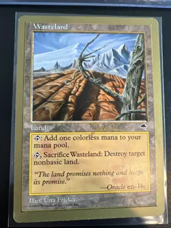 Wasteland 1999 Mark Le Pine World Championship Decks MTG Lightly played - Image 2