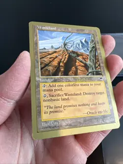 Wasteland 1999 Mark Le Pine World Championship Decks MTG Lightly played - Image 3