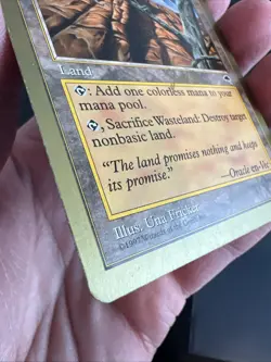 Wasteland - Mark Le Pine - 1999 World Championship Decks Magic mtg Light Play - Image 4